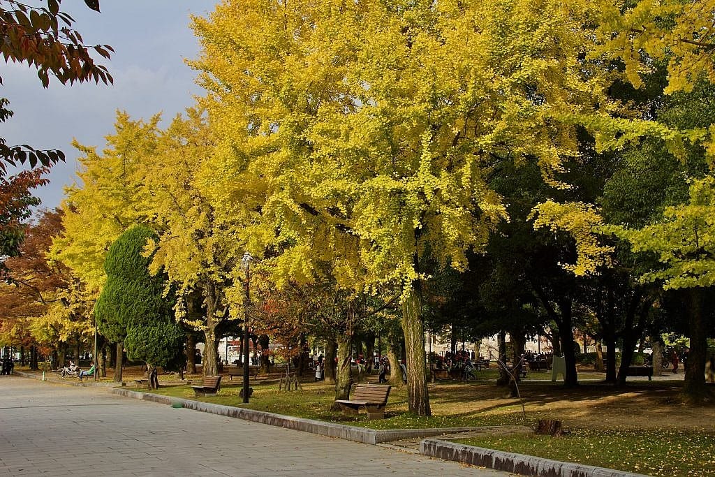 the-hiroshima-peace-memorial-park-in-japan-a-symbol-of-hope