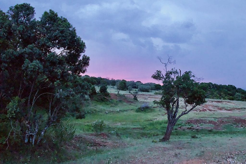 conserving-wildlife-in-the-masai-mara-national-reserve-in-kenya-east-africa