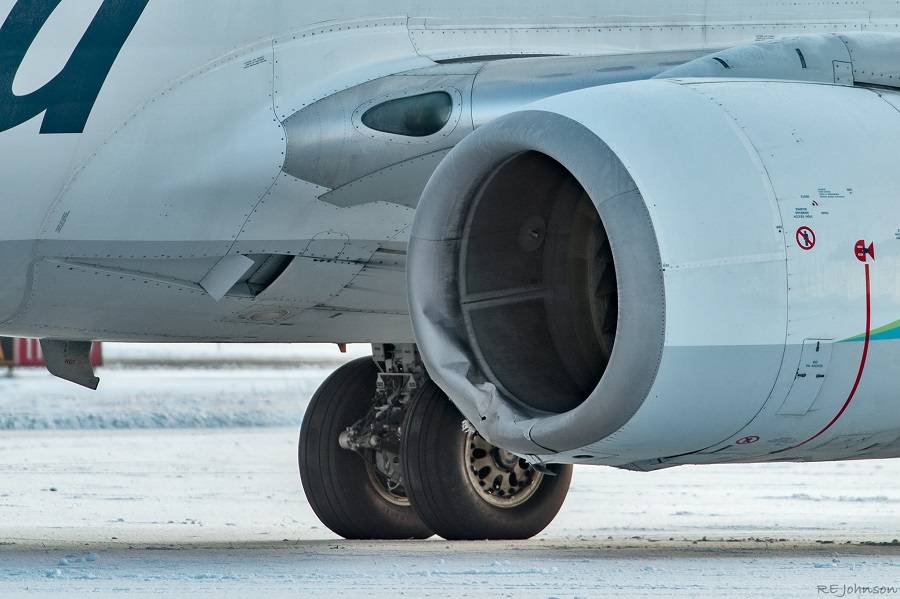 Alaska Airlines 737 Has A Bearstrike On Landing