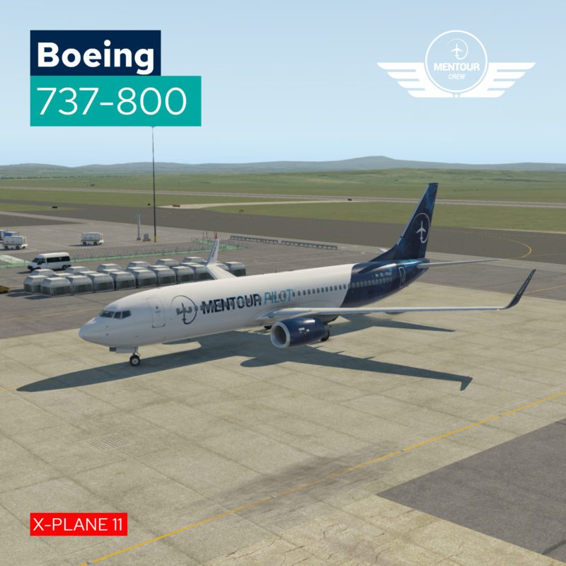 Liveries mentour pilot