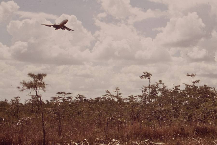 brush pilot runways in everglades