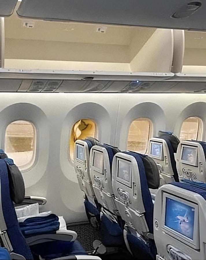 787 Dimmable Window Shows Signs Of Burning In Flight?