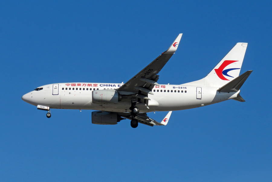 China Eastern 737-800 Crash: Airline Ungrounds Fleet