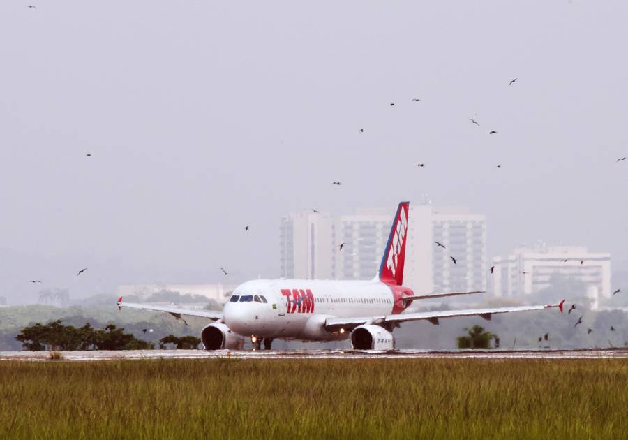 Can We Stop Bird Strikes At Airports With A Laser?