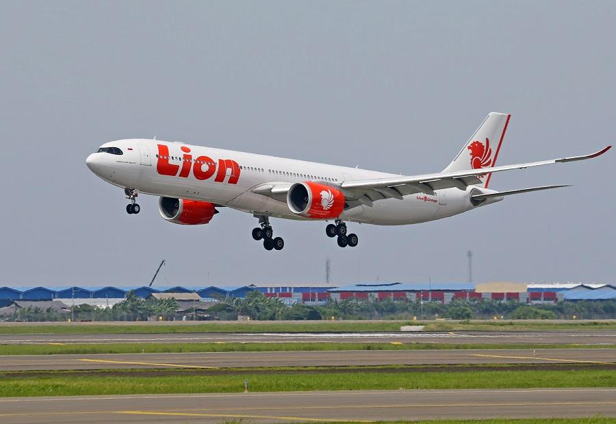 Pexels Jeffry Surianto A330neo Lion 11193032 