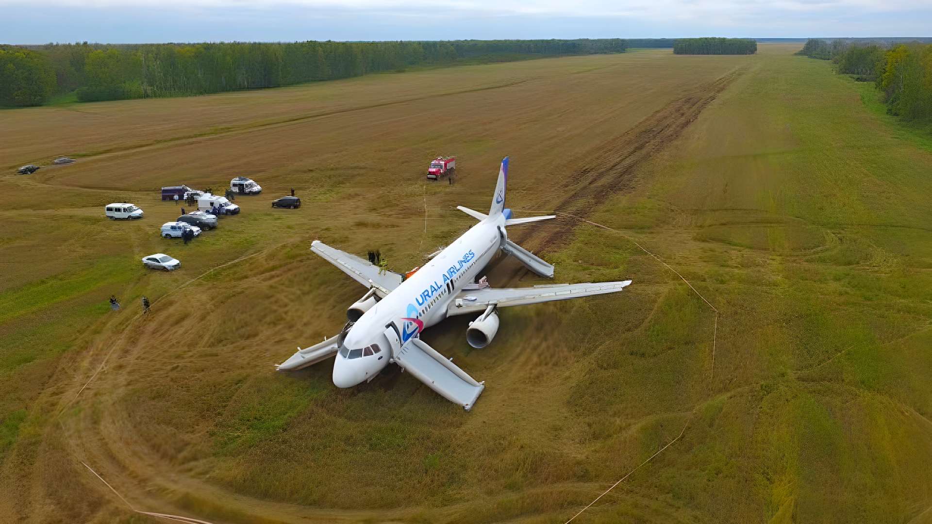 Stolen plane crash-lands in field after pilot's erratic