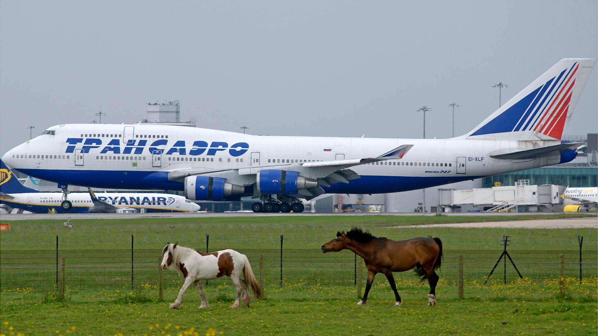 747 Freighter Returns To JFK With Out-of-control Horse!