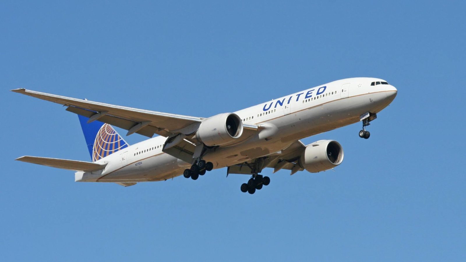 INCIDENT: United 777 Suffers Bird Strike On Radome - Mentour Pilot